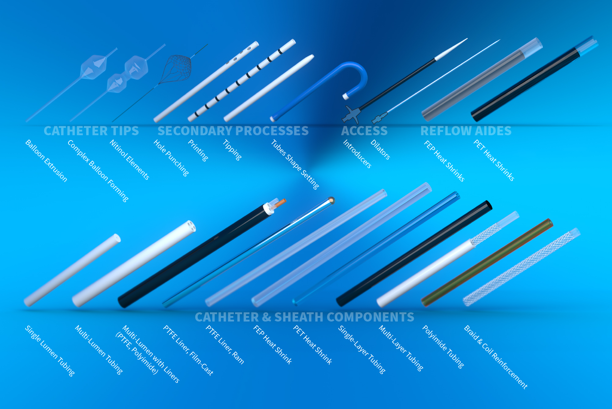 Electrophysiology Capabilities Infographic
